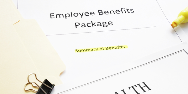 Employee Benefit Plan Audits